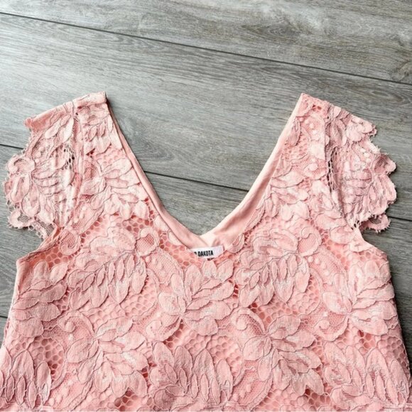 BB Dakota Rene Deep V Neck Lace Shift Dress - Picture 6 of 13